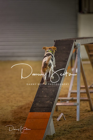 DAN_0394