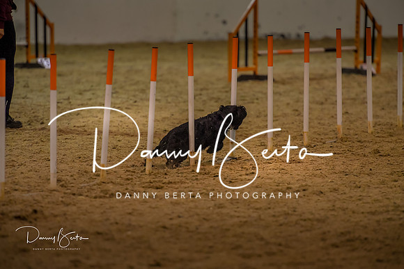 DAN_0380