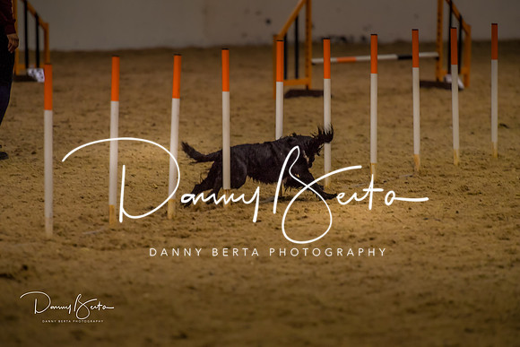 DAN_0381