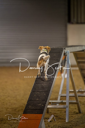 DAN_0395