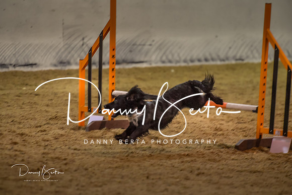 DAN_0383