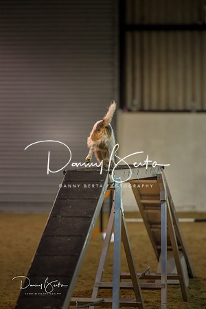 DAN_0397