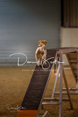 DAN_0396