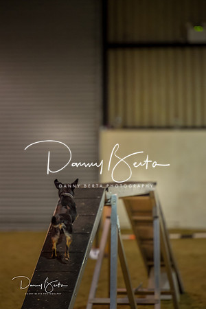 DAN_0355