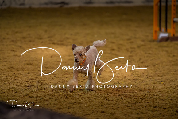 DAN_0332