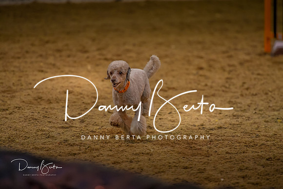 DAN_0333