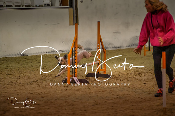 DAN_0319