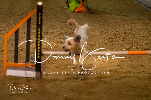 DAN_0331