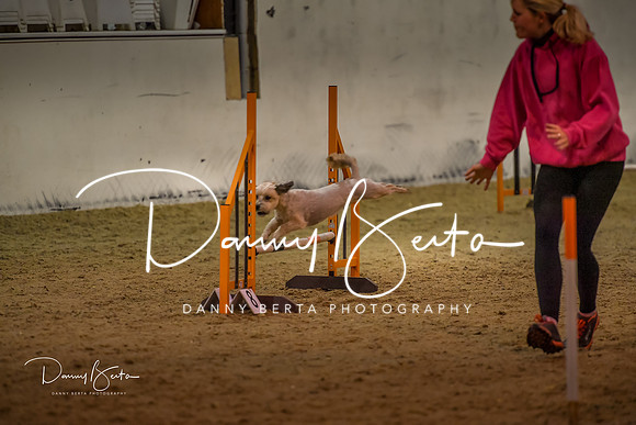 DAN_0318
