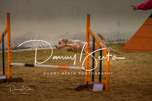 DAN_0320