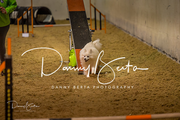 DAN_0308