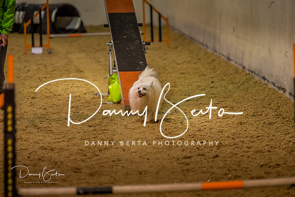 DAN_0309