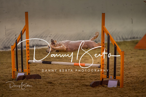 DAN_0321