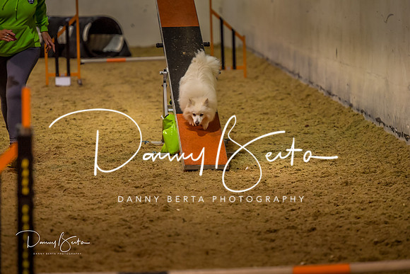 DAN_0307