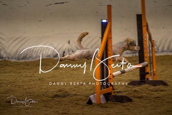 DAN_0312