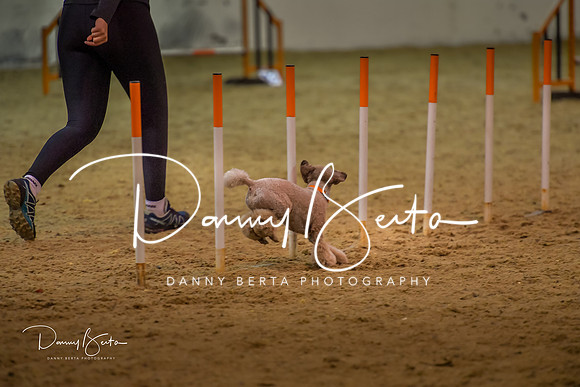DAN_0338
