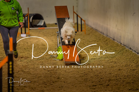 DAN_0305