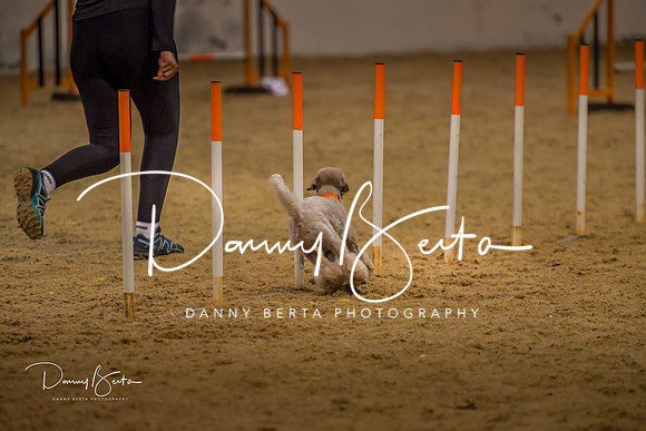 DAN_0339