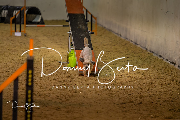 DAN_0329