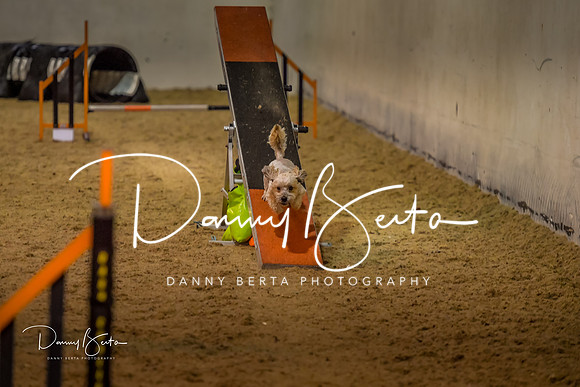 DAN_0328