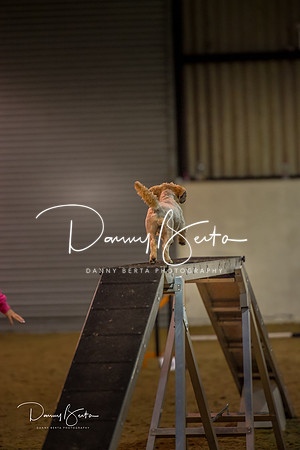 DAN_0316