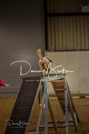 DAN_0317