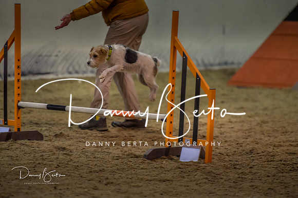 DAN_0402