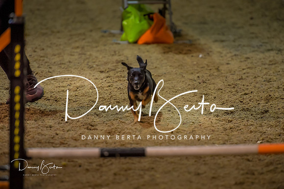 DAN_0370