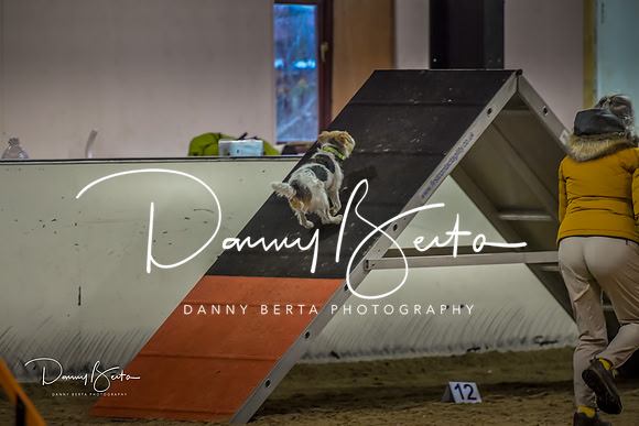 DAN_0403