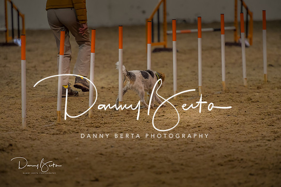 DAN_0399