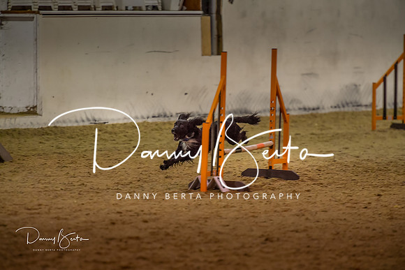 DAN_0376