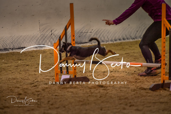 DAN_0362