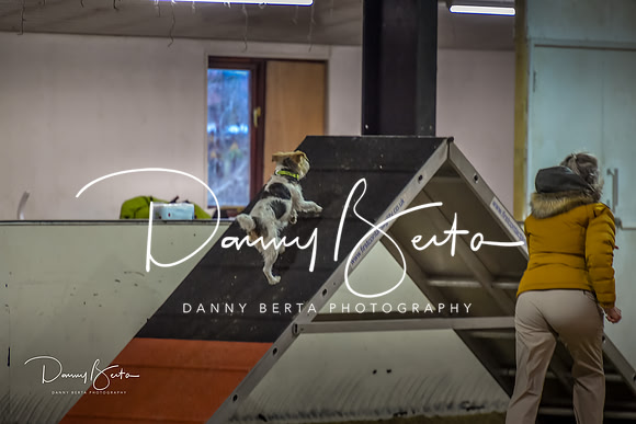 DAN_0404