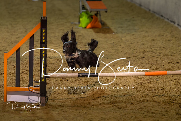 DAN_0388