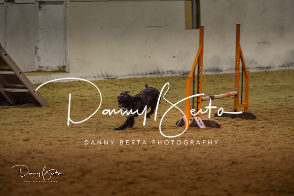 DAN_0377