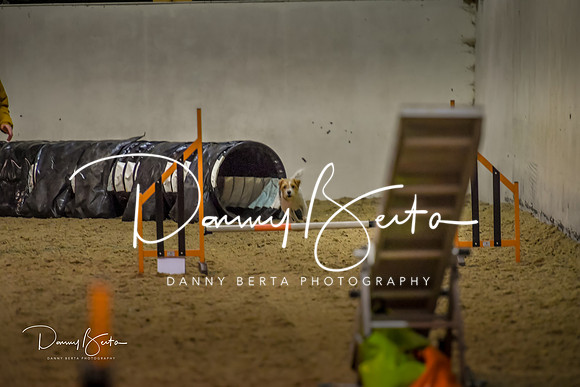 DAN_0407