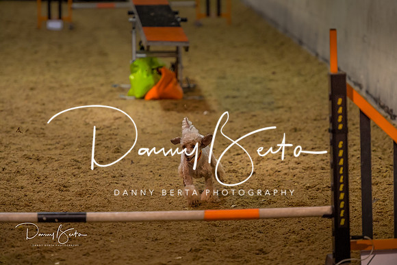 DAN_0348