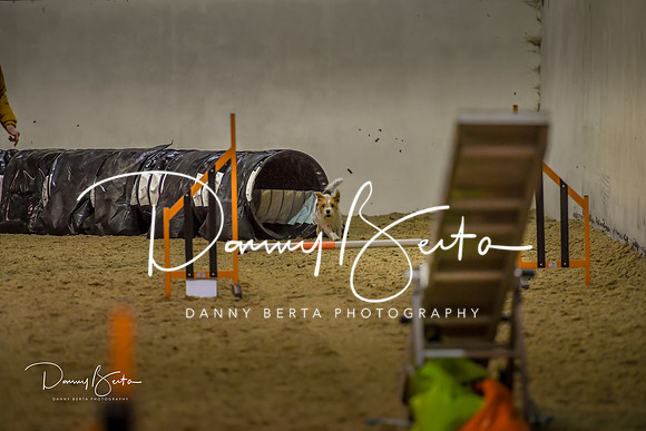 DAN_0406