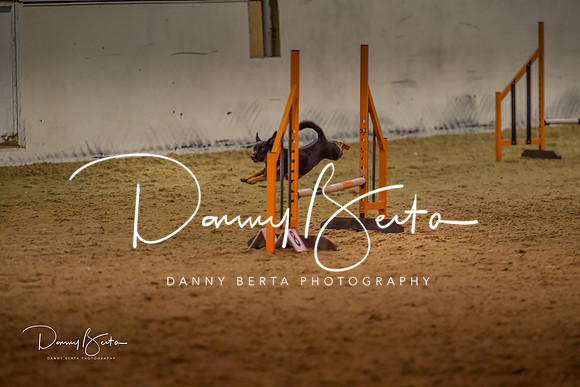 DAN_0360