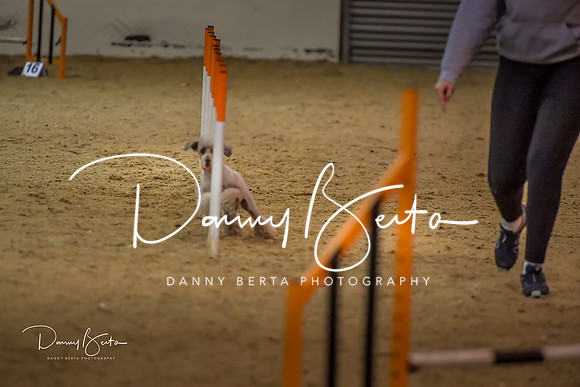 DAN_1574