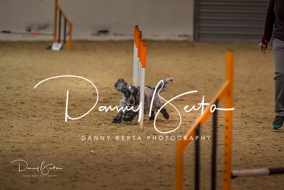 DAN_1548