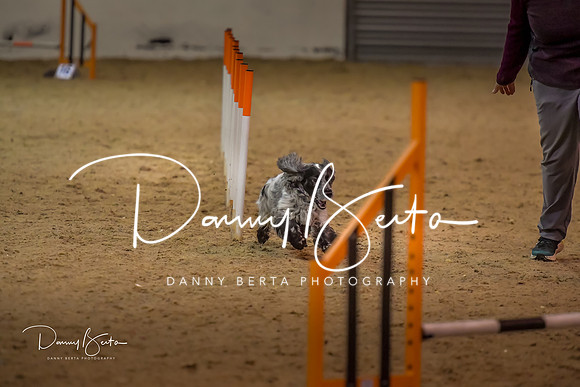 DAN_1549
