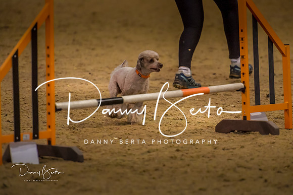 DAN_1575
