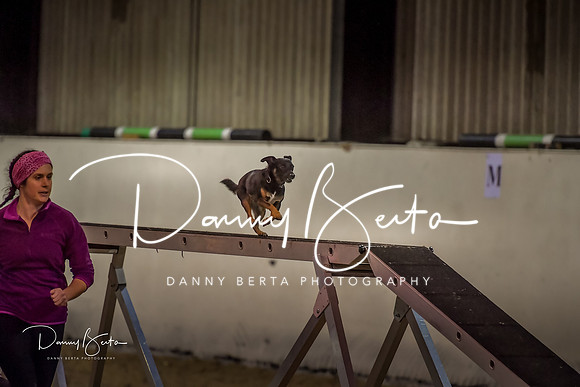 DAN_1588