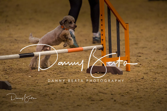 DAN_1576