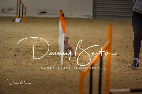 DAN_1572