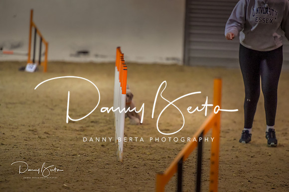 DAN_1567