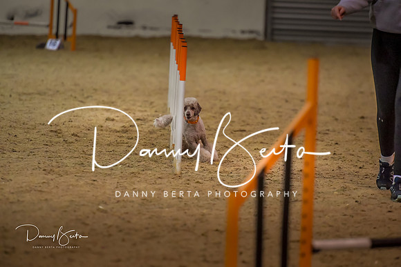 DAN_1573