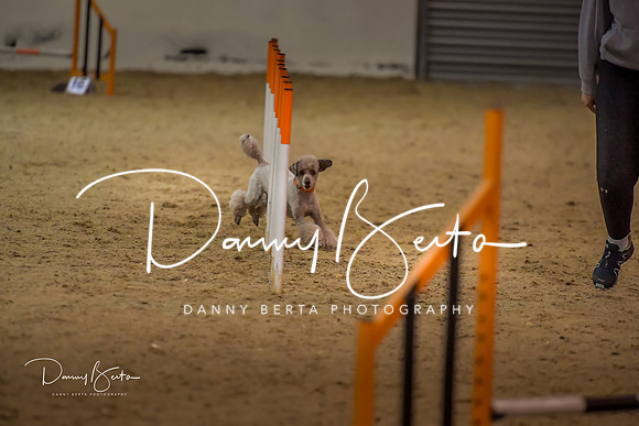 DAN_1571