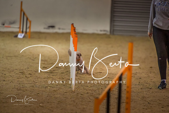 DAN_1570